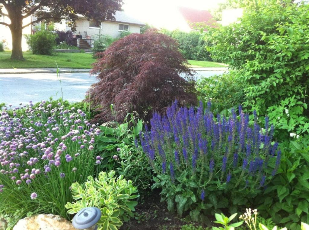 Turtle Island Bed And Breakfast Gananoque Esterno foto